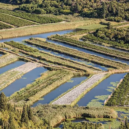 Amazing In With Kitchen
